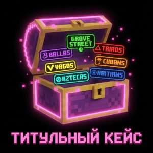 Титульный кейс ×5
